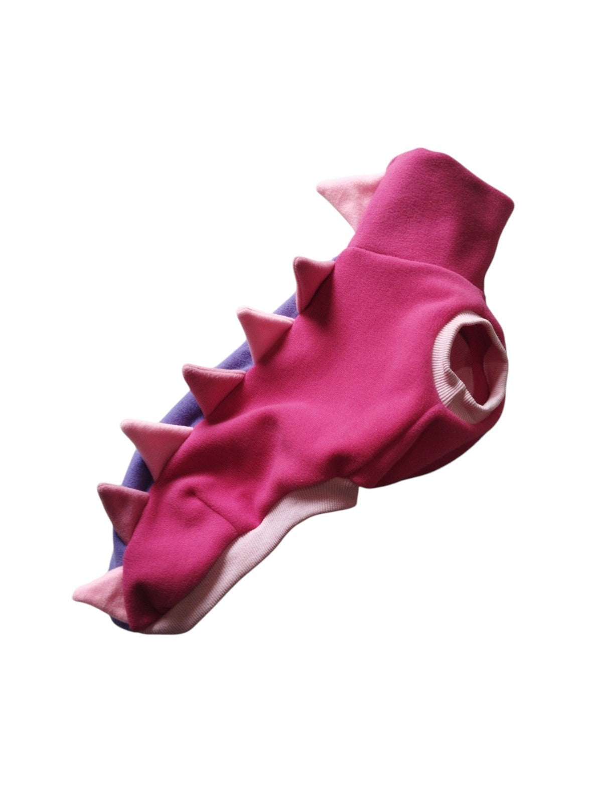 Dino Regata ( Pp1 )