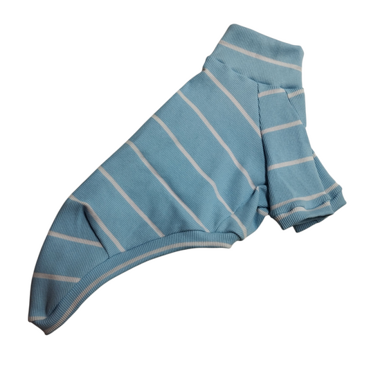 Festival Camiseta- ( Pp, Pp1, P)