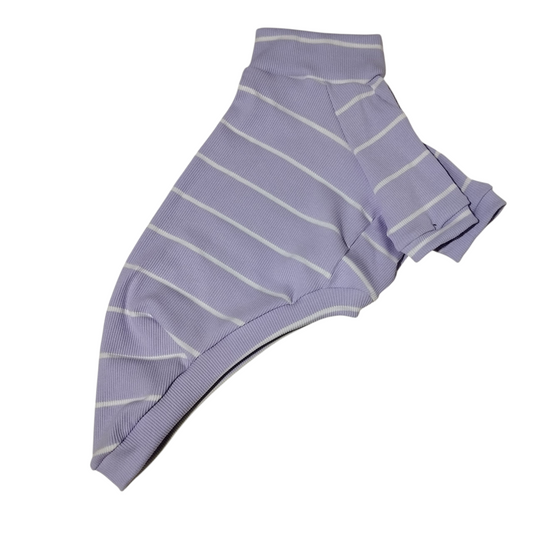 Festival Camiseta- ( Pp1, P)