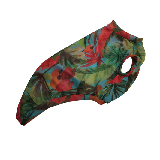 Festival Camiseta- ( Pp1)