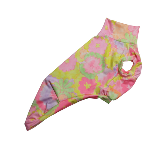 Regata UV (Pp1)