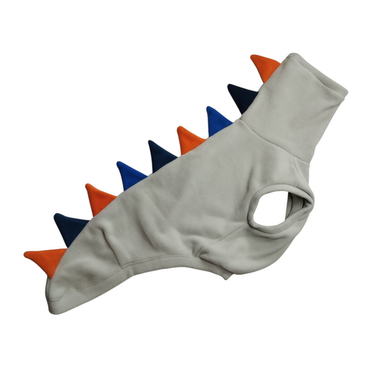 Dino regata (Pp)
